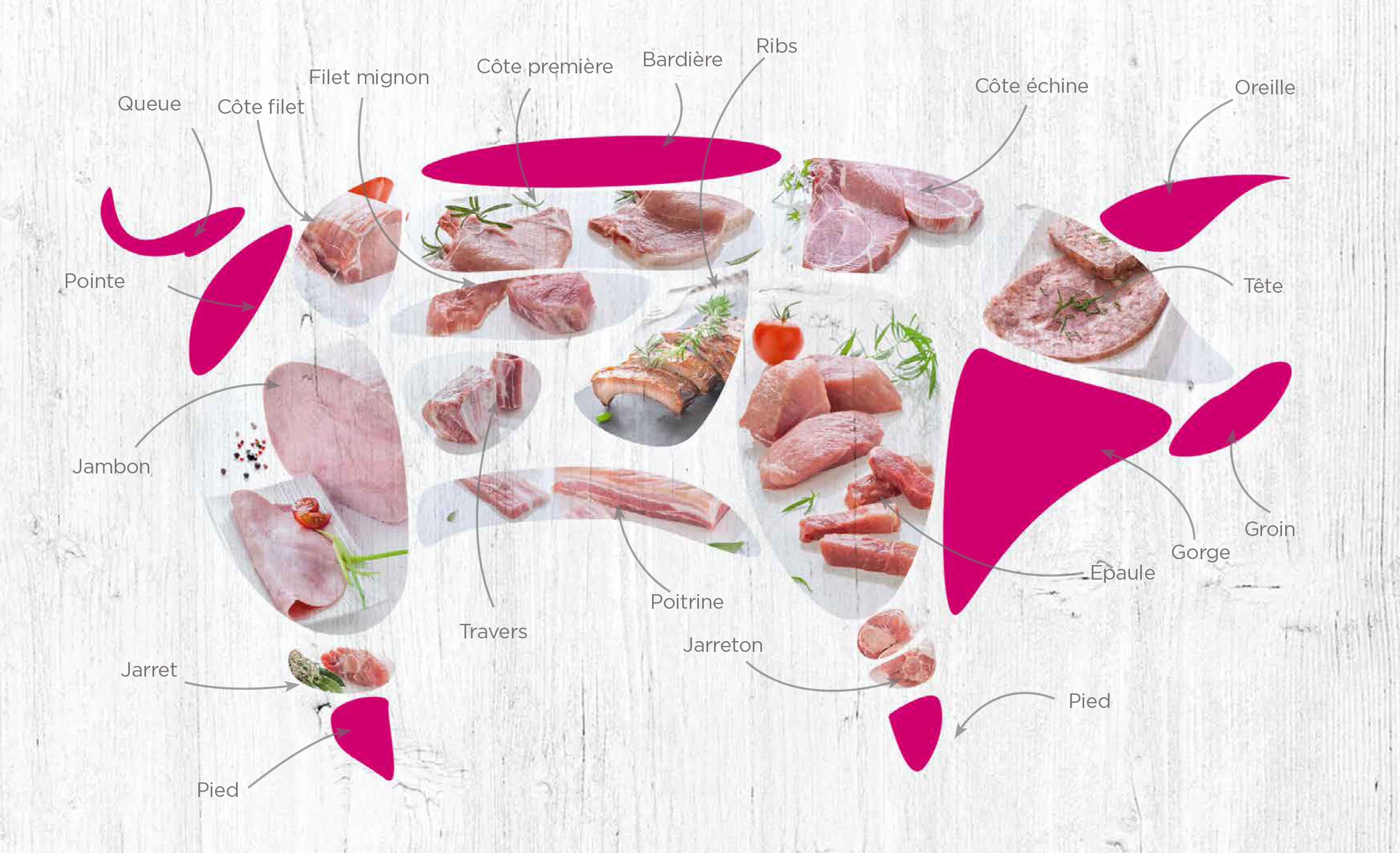 Schéma découpe viande porc
